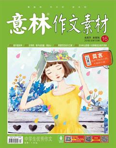 意林·作文素材2018年16期