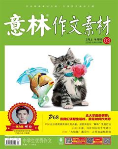 意林·作文素材2019年3期