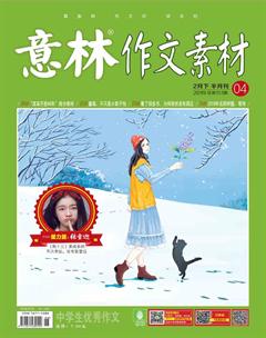 意林·作文素材2019年4期