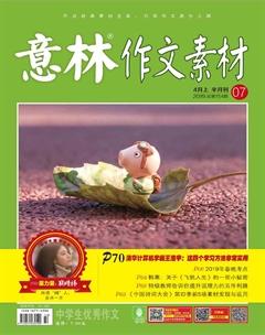 意林·作文素材2019年7期