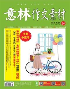 意林·作文素材2019年14期