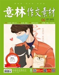 意林·作文素材2020年6期