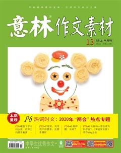 意林·作文素材2020年13期