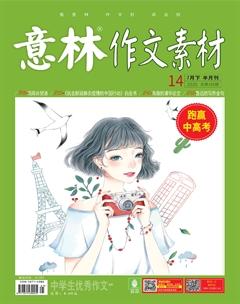 意林·作文素材2020年14期