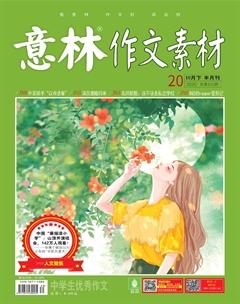 意林·作文素材2020年20期
