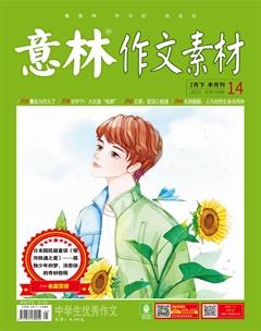 意林·作文素材2021年14期
