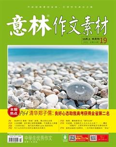 意林·作文素材2021年19期