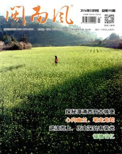 闽南风2016年3期