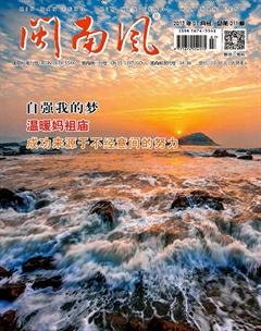 闽南风2017年7期