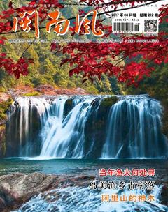闽南风2017年8期