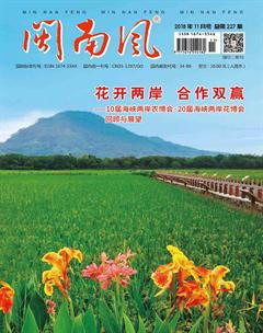闽南风2018年11期