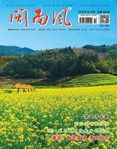 闽南风2019年2期