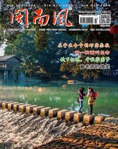 闽南风2019年3期