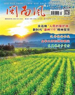 闽南风2019年4期