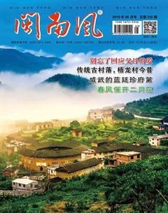 闽南风2019年5期