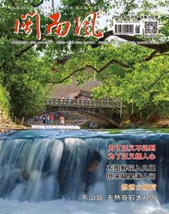 闽南风2019年6期