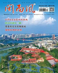闽南风2019年7期