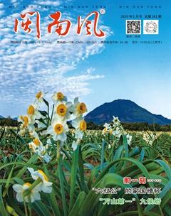 闽南风2020年1期