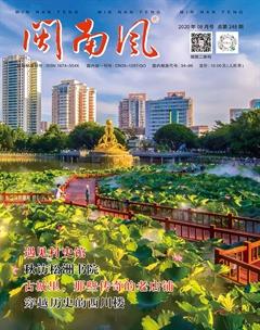 闽南风2020年8期