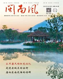 闽南风2020年9期