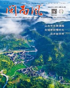 闽南风2020年11期