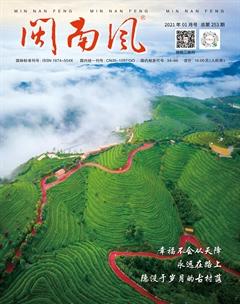 闽南风2021年1期
