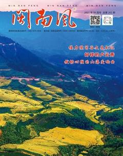 闽南风2021年9期