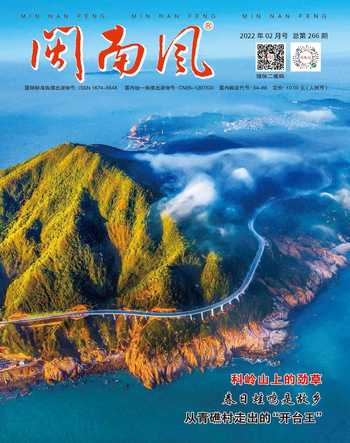 闽南风2022年2期