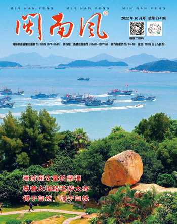 闽南风2022年10期