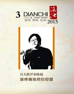 滇池2015年3期