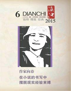 滇池2015年6期
