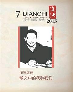 滇池2015年7期
