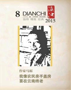 滇池2015年8期