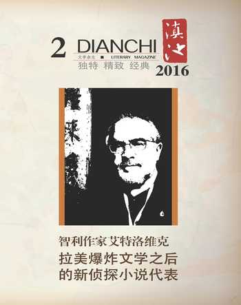滇池2016年2期
