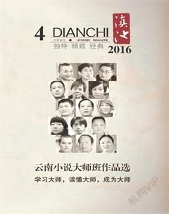 滇池2016年4期
