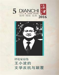 滇池2016年5期