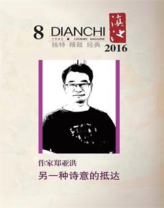 滇池2016年8期