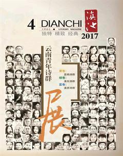 滇池2017年4期