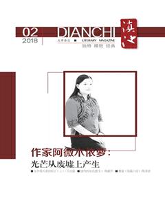 滇池2018年2期