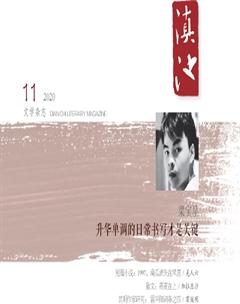 滇池2020年11期