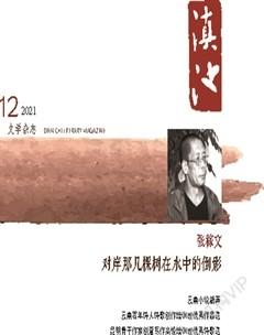 滇池2021年12期