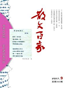 散文百家2017年9期