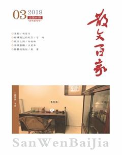 散文百家2019年3期
