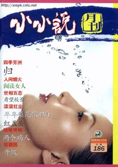 小小说月刊2006年11期