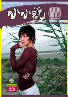 小小说月刊2007年11期