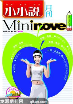 小小说月刊2008年5期