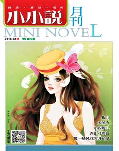 小小说月刊2016年3期
