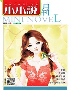小小说月刊2016年8期