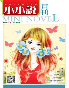 小小说月刊2016年11期