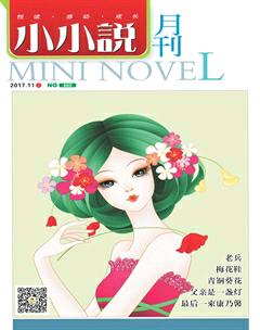 小小说月刊2017年11期